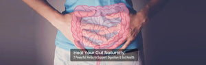 Heal Your Gut Naturally: 7 Powerful Herbs to Support Digestion & Gut Health