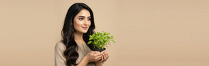Tulsi (Holy Basil) in Ayurveda: Benefits & How It Fits into Daily Life