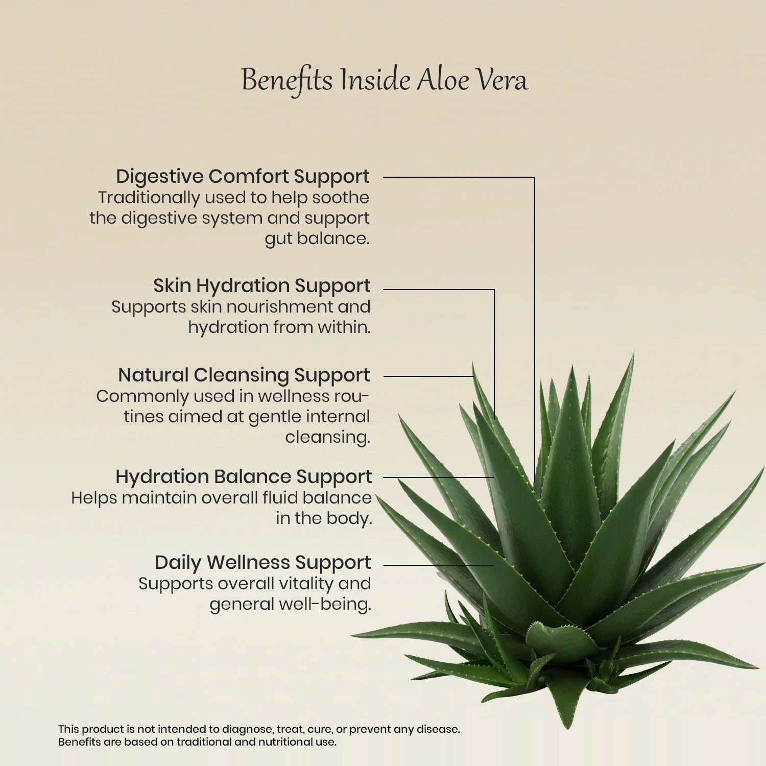 Vedaone Aloe Vera Powder 100 g | Natural Aloe Vera for Digestive, Skin & Daily Wellness Support