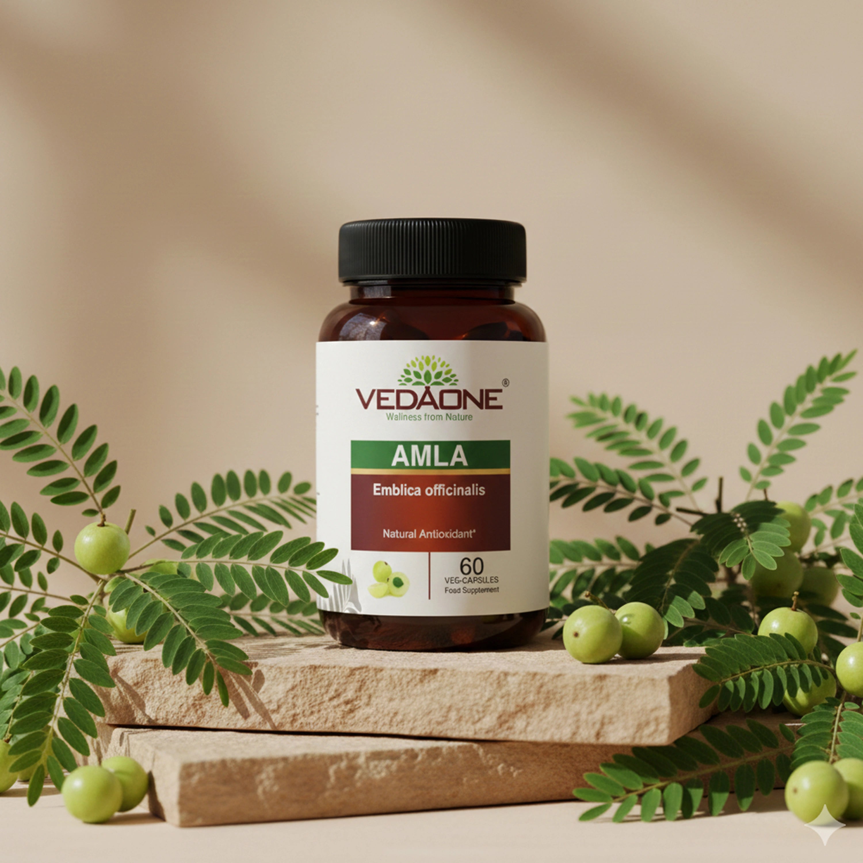 Vedaone Amla 60 Veg Capsules | Emblica officinalis for Immunity, Antioxidant & Digestive Support