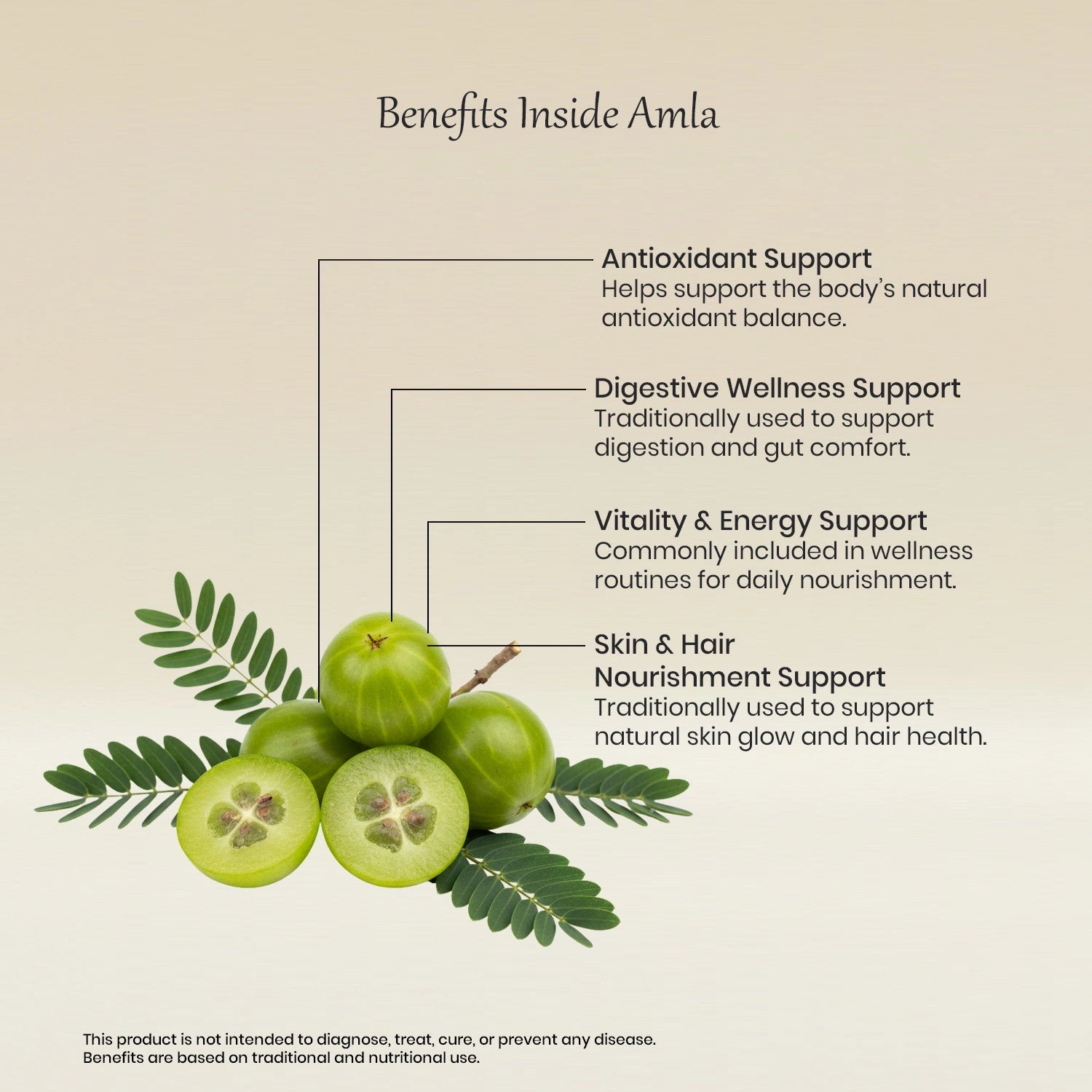 Vedaone Amla Powder 100 g | Pure Indian Gooseberry for Daily Wellness & Antioxidant Support