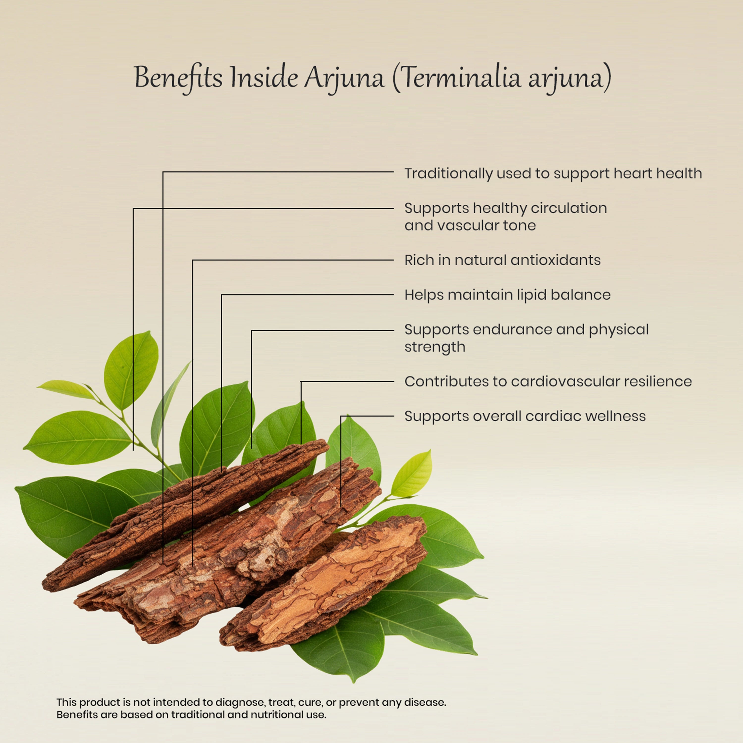 Vedaone Arjuna 60 Caplets | Herbal Support for Heart, Circulatory & Cardiac Wellness