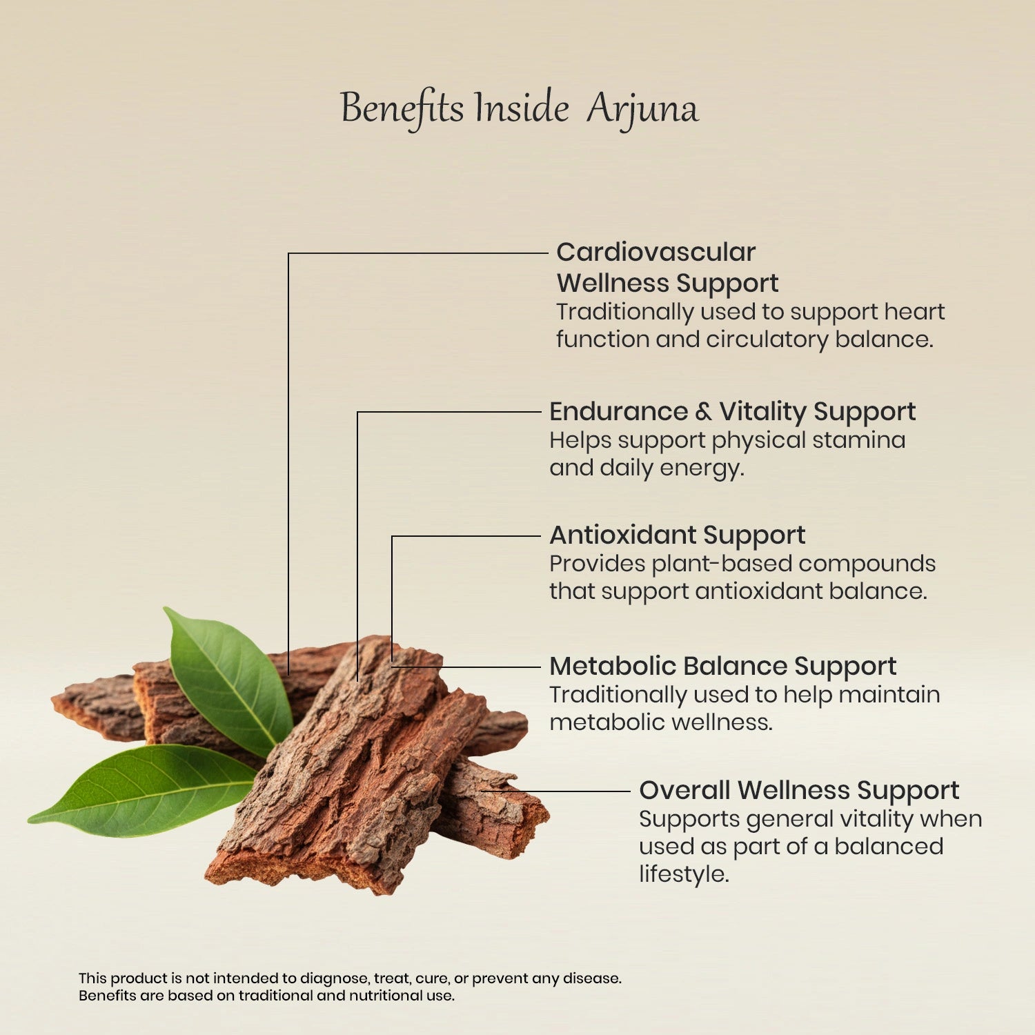 Vedaone Arjuna Powder 100 g | Pure Terminalia arjuna for Heart & Vitality Support