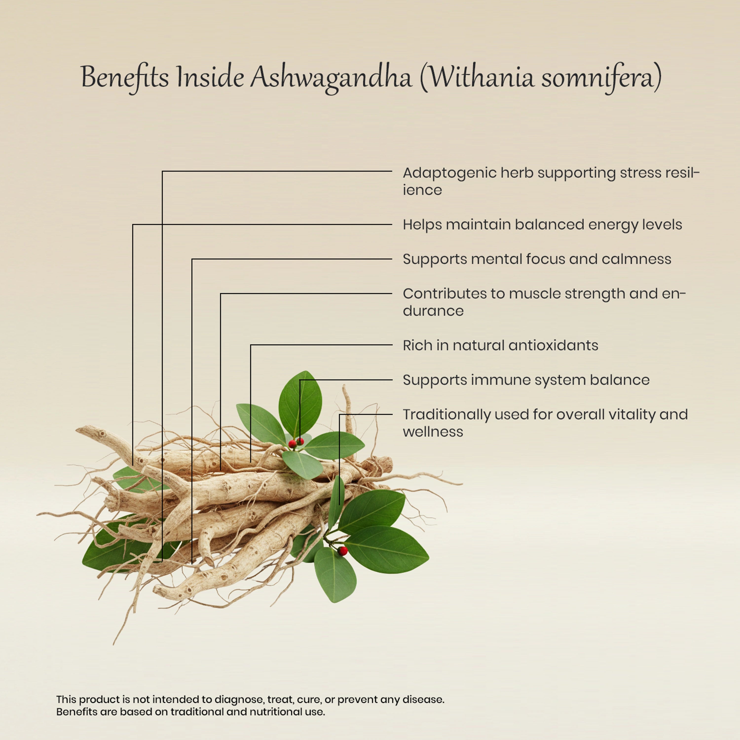 Vedaone Ashwagandha 60 Caplets | Herbal Support for Stress, Energy & Vitality