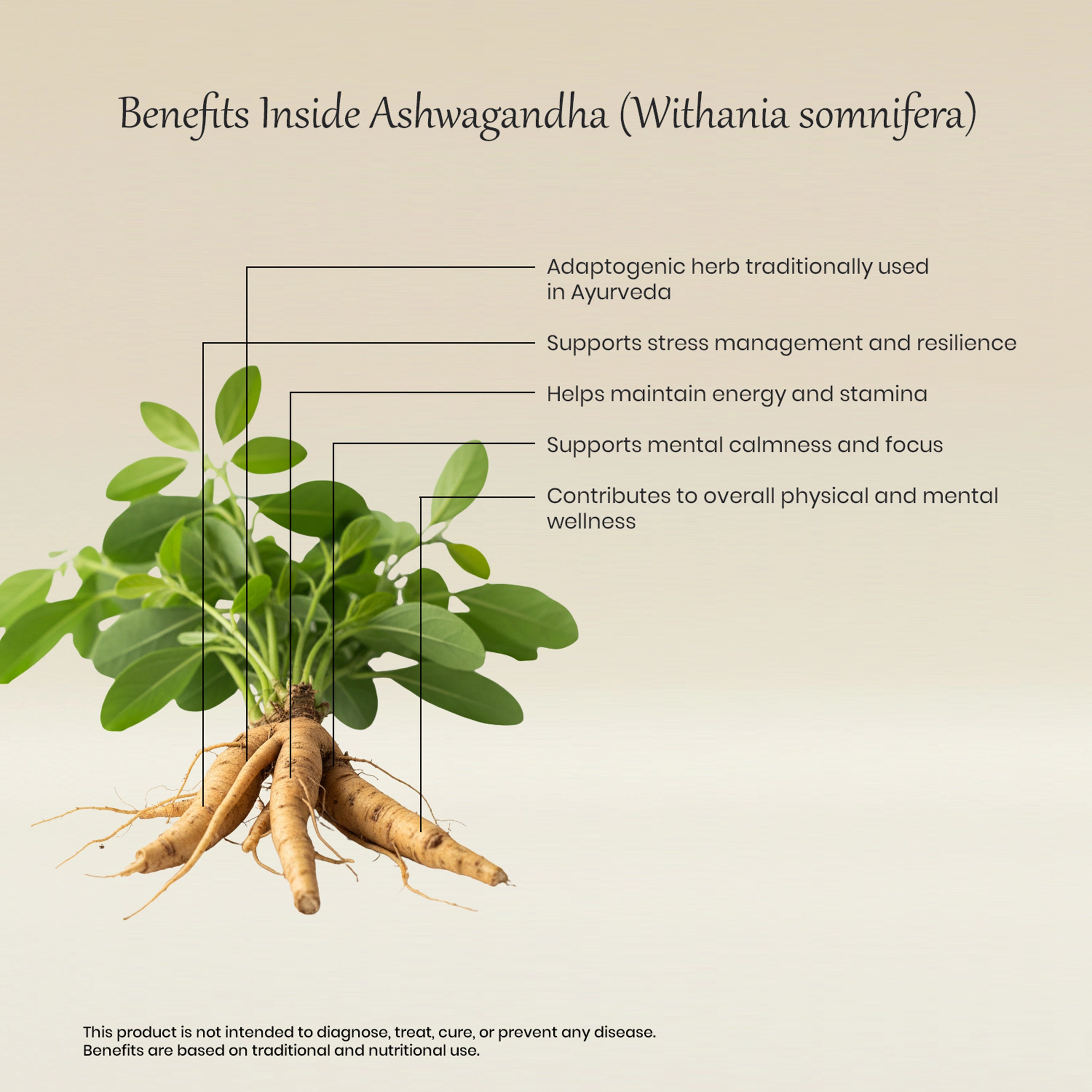 Vedaone Ashwagandha Capsules 60 Capsules | Withania somnifera for Stress Balance, Energy & Vitality