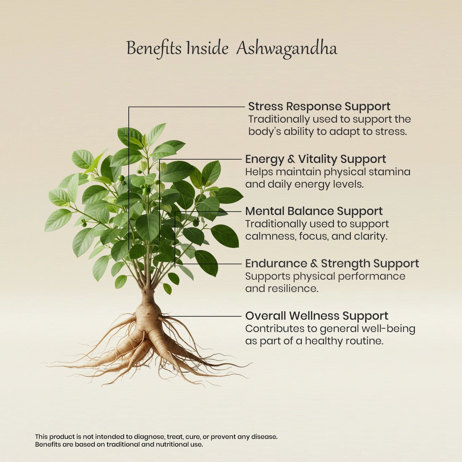 Vedaone Ashwagandha Powder 100 g | Pure Withania somnifera for Stress Balance & Vitality