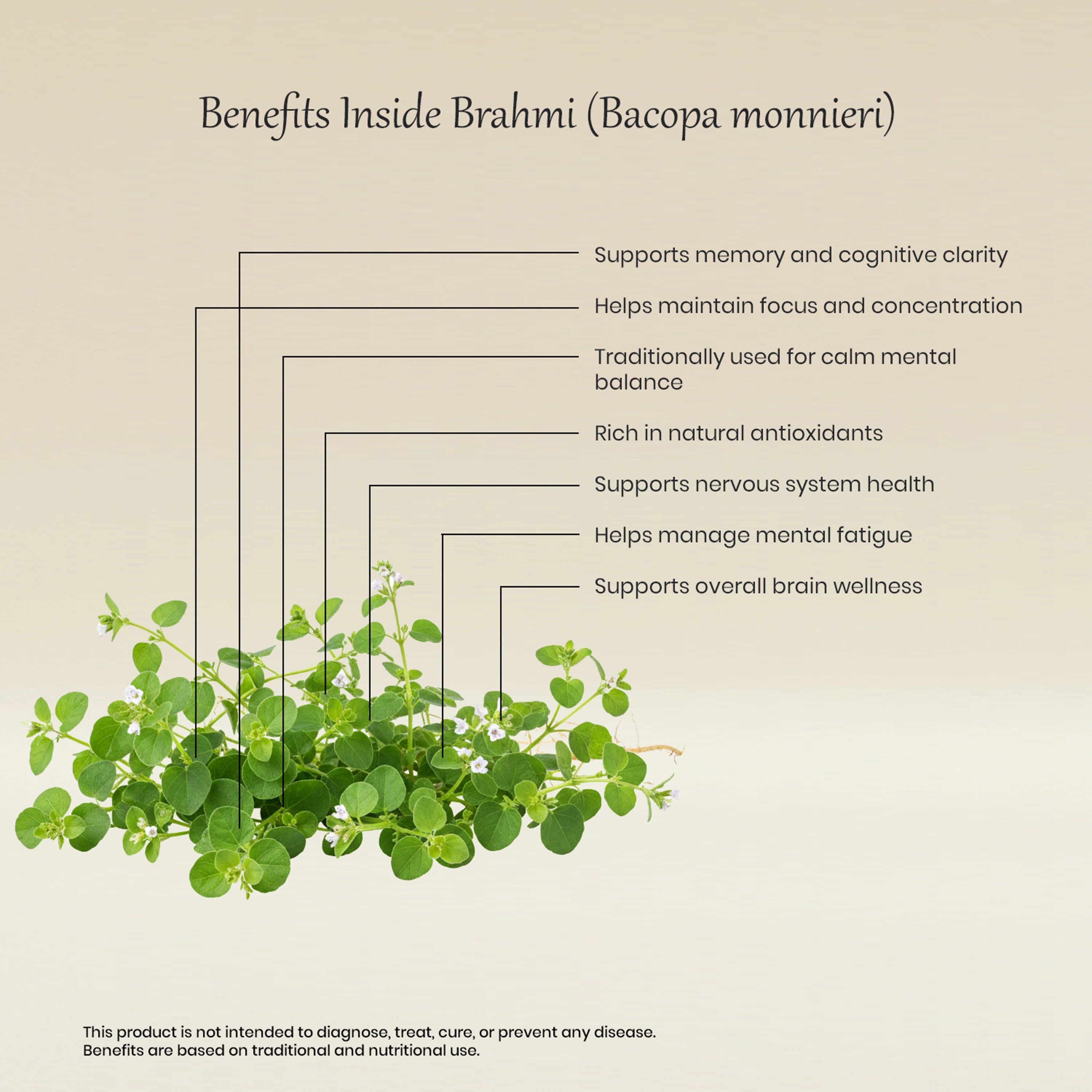 Vedaone Brahmi 60 Caplets | Herbal Support for Memory, Focus & Mental Clarity