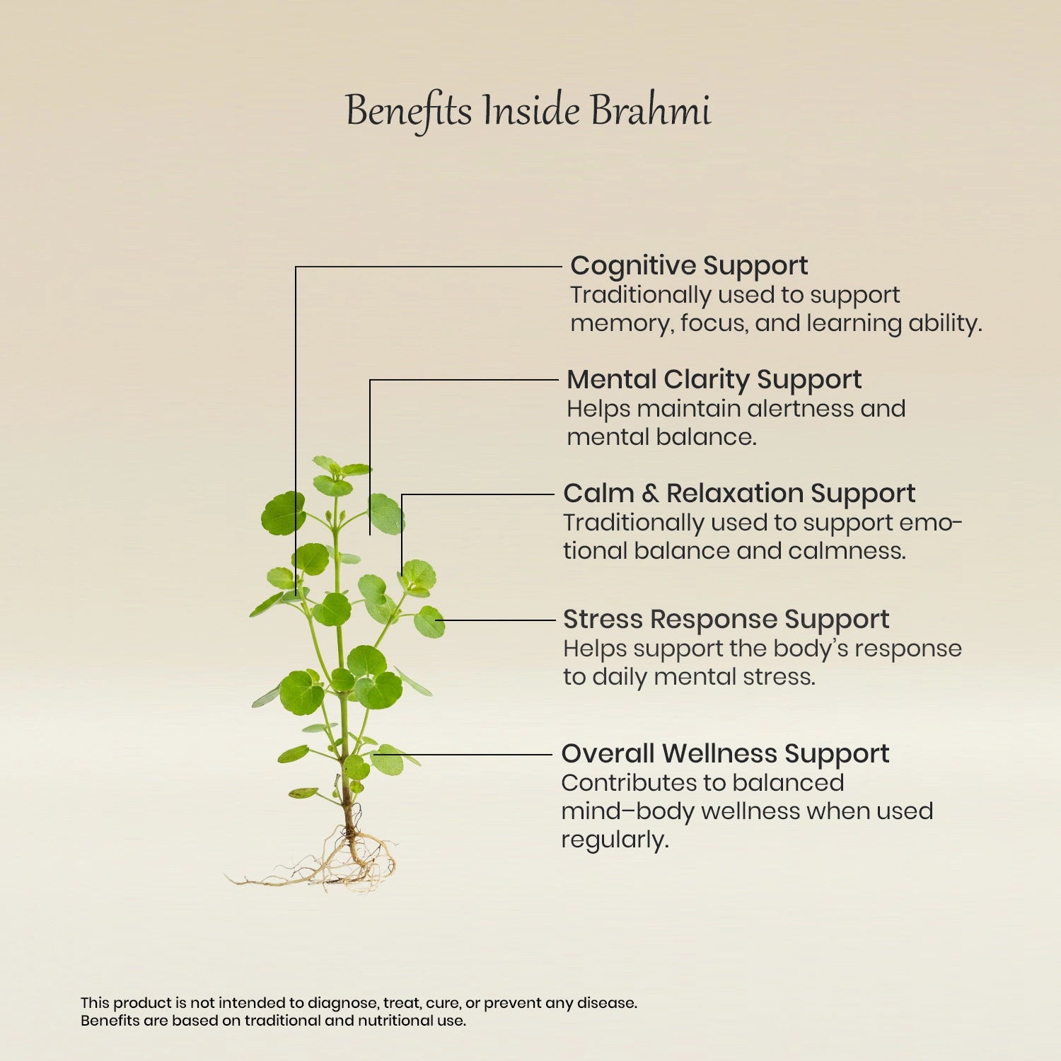 Vedaone Brahmi Powder 100 g | Pure Bacopa monnieri for Cognitive & Mental Wellness Support