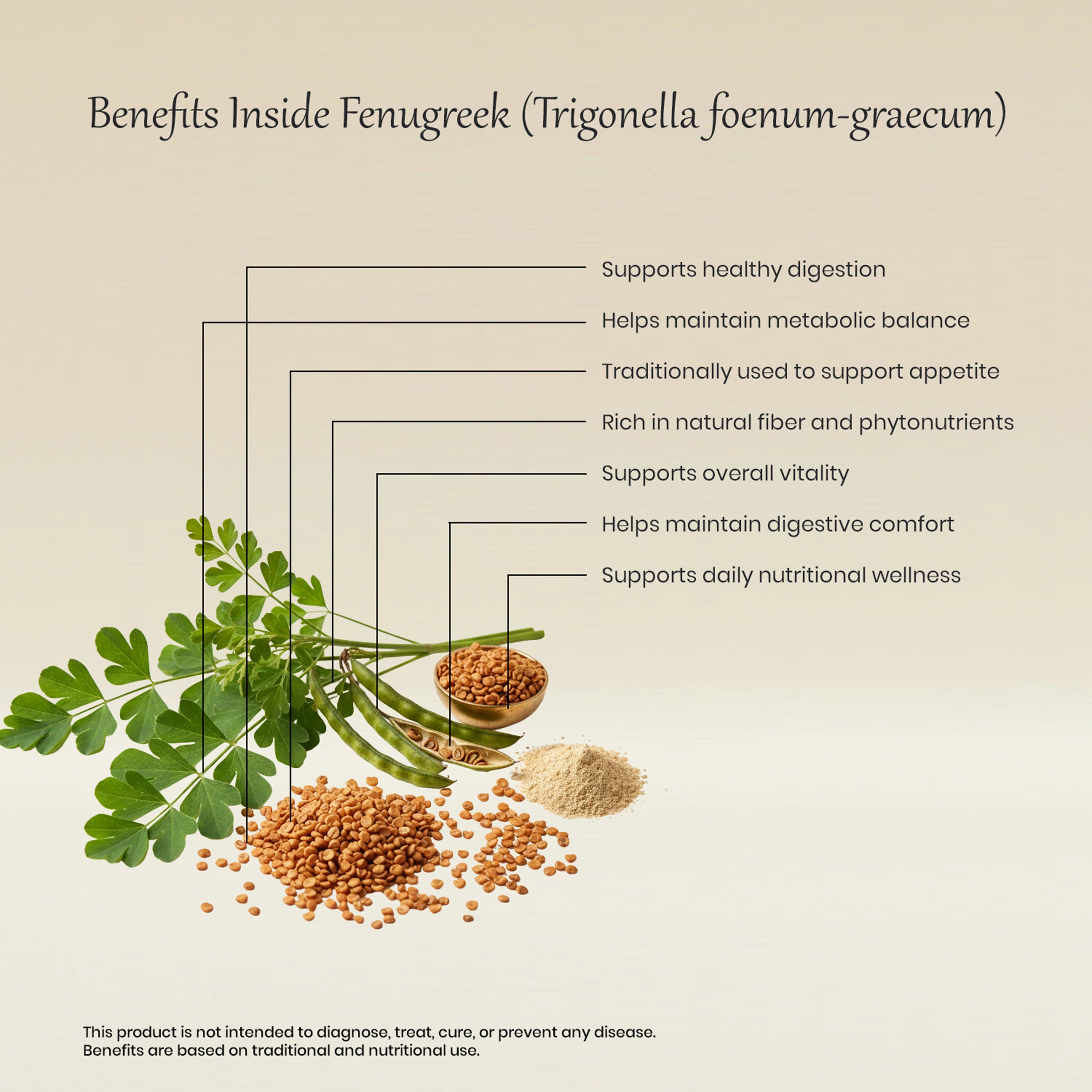 Vedaone Fenugreek 60 Caplets | Herbal Support for Metabolism, Digestion & Wellness