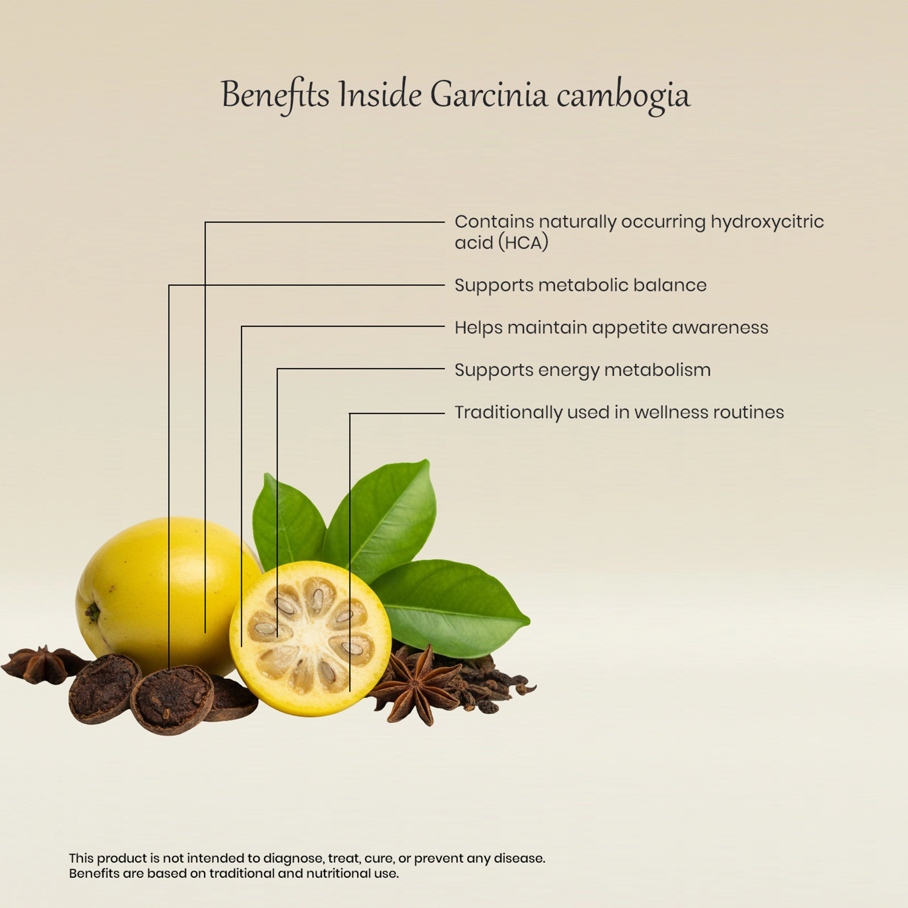 Vedaone Garcinia Capsules 60 Capsules | Garcinia cambogia for Metabolic Balance & Appetite Support