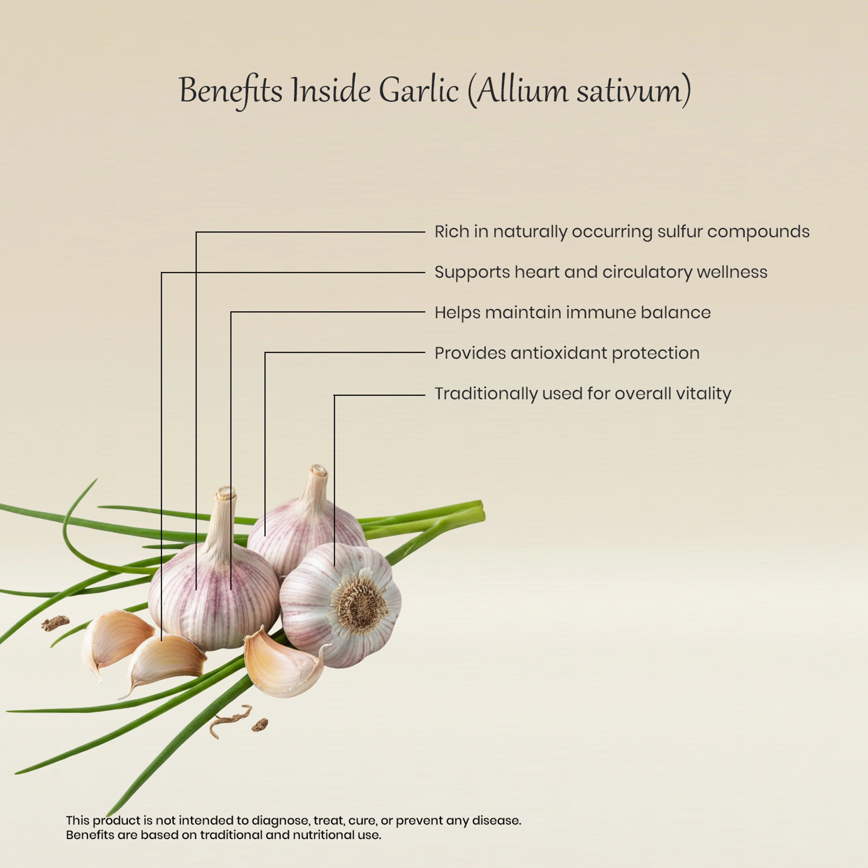 Vedaone Garlic Capsules 60 Capsules | Allium sativum for Heart, Immunity & Circulatory Wellness