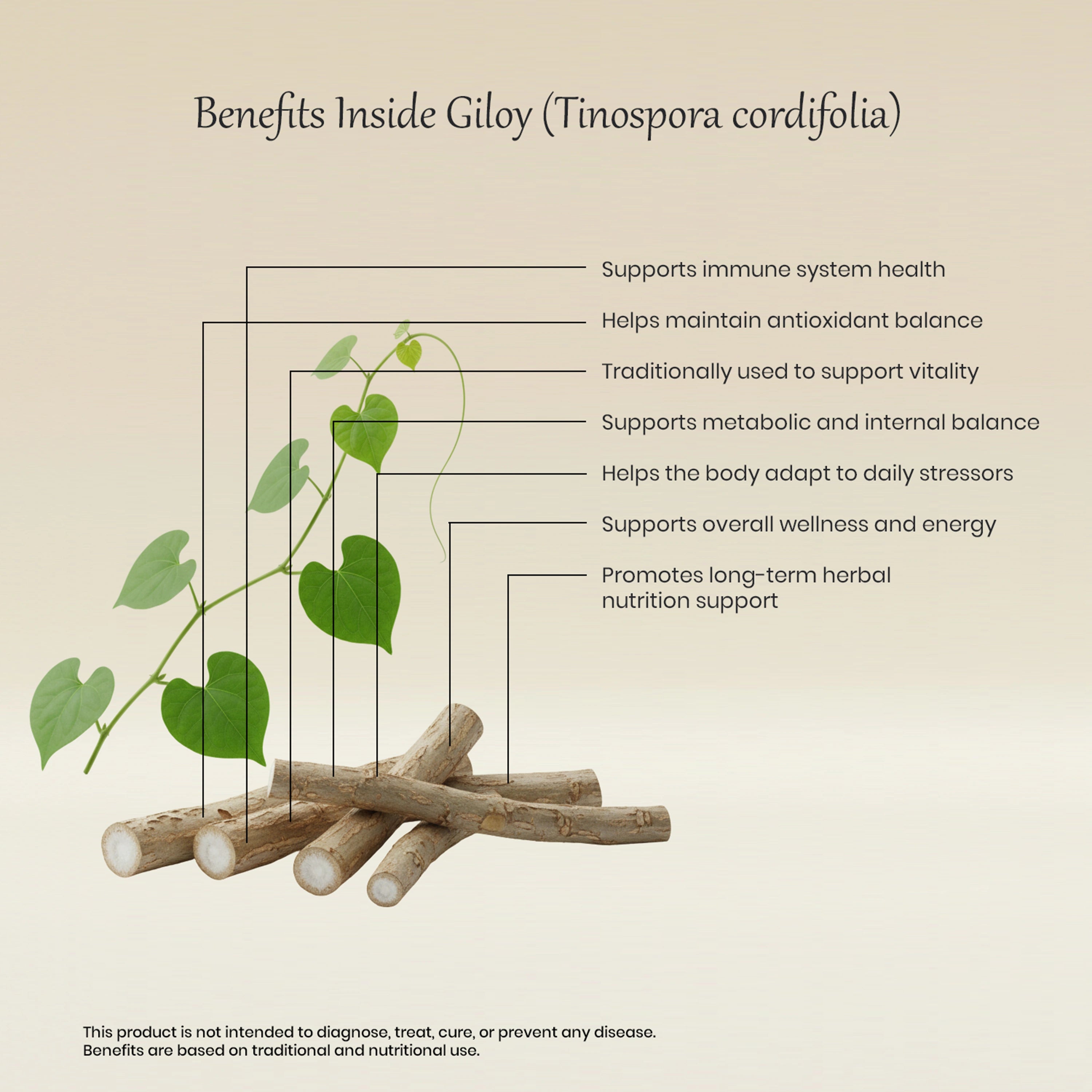 Vedaone Giloy 60 Caplets | Herbal Support for Immunity, Vitality & Wellness