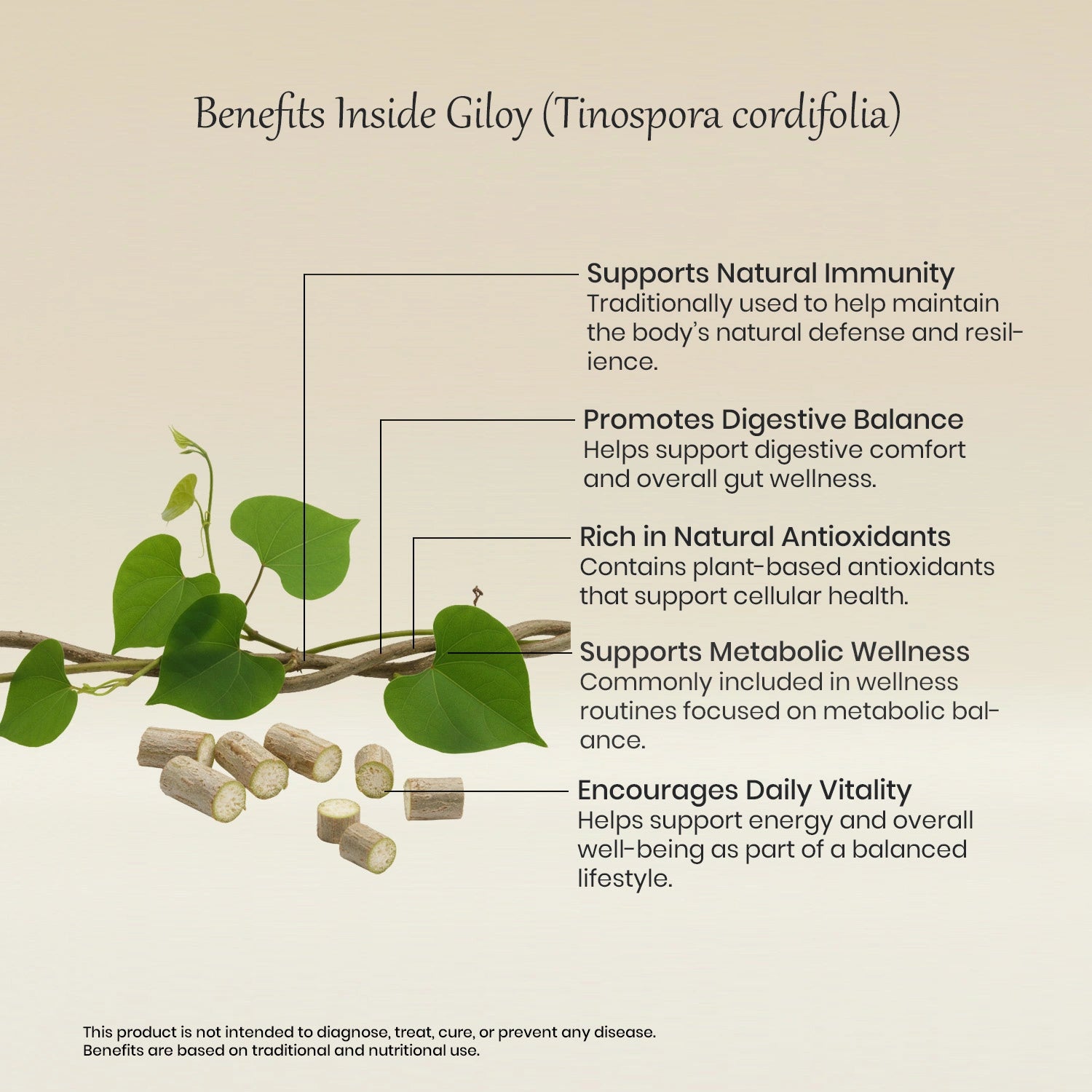 Vedaone Giloy Powder 100 g | Pure Tinospora cordifolia for Daily Herbal Wellness