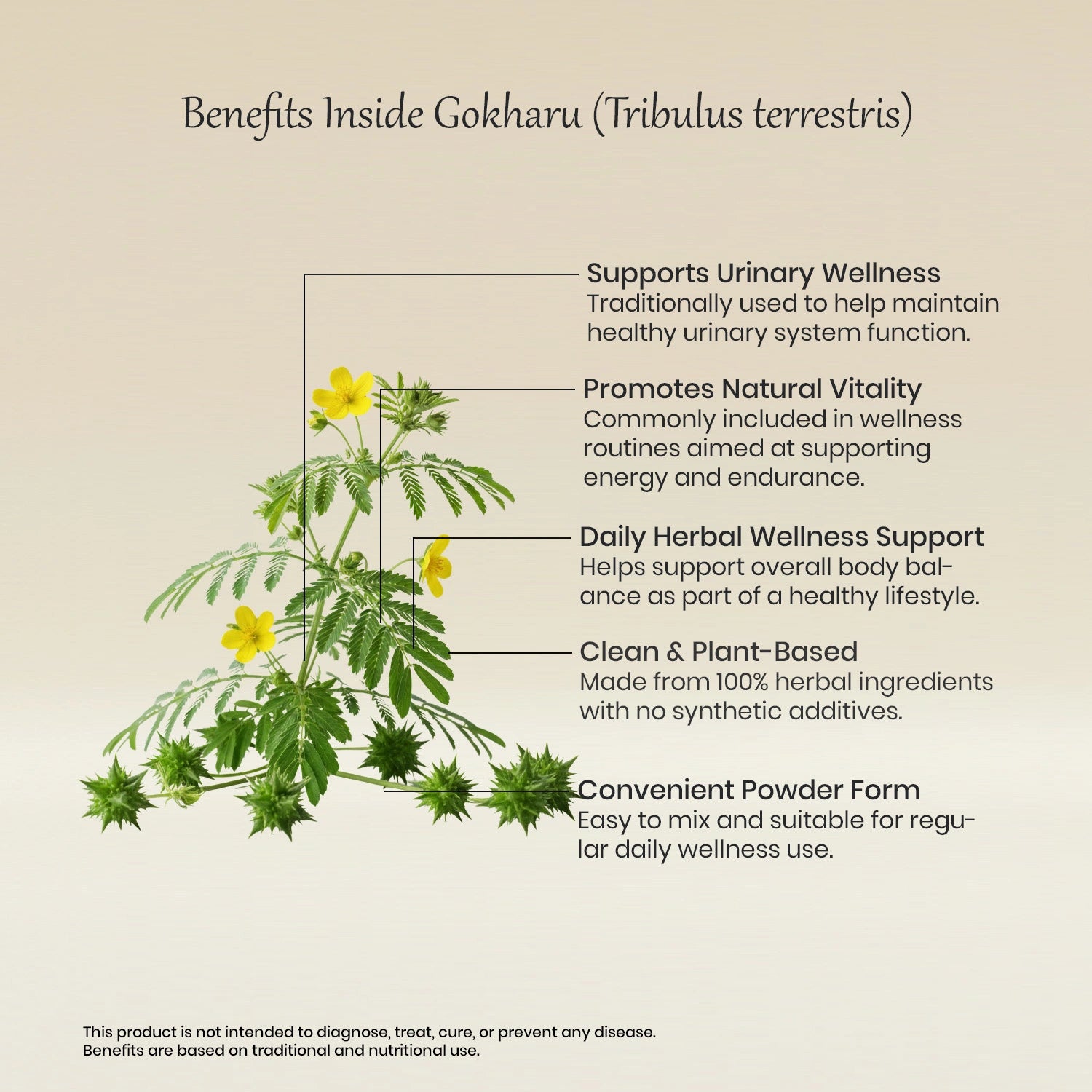 Vedaone Gokharu Powder 100 g | Pure Tribulus terrestris | Herbal Wellness Support