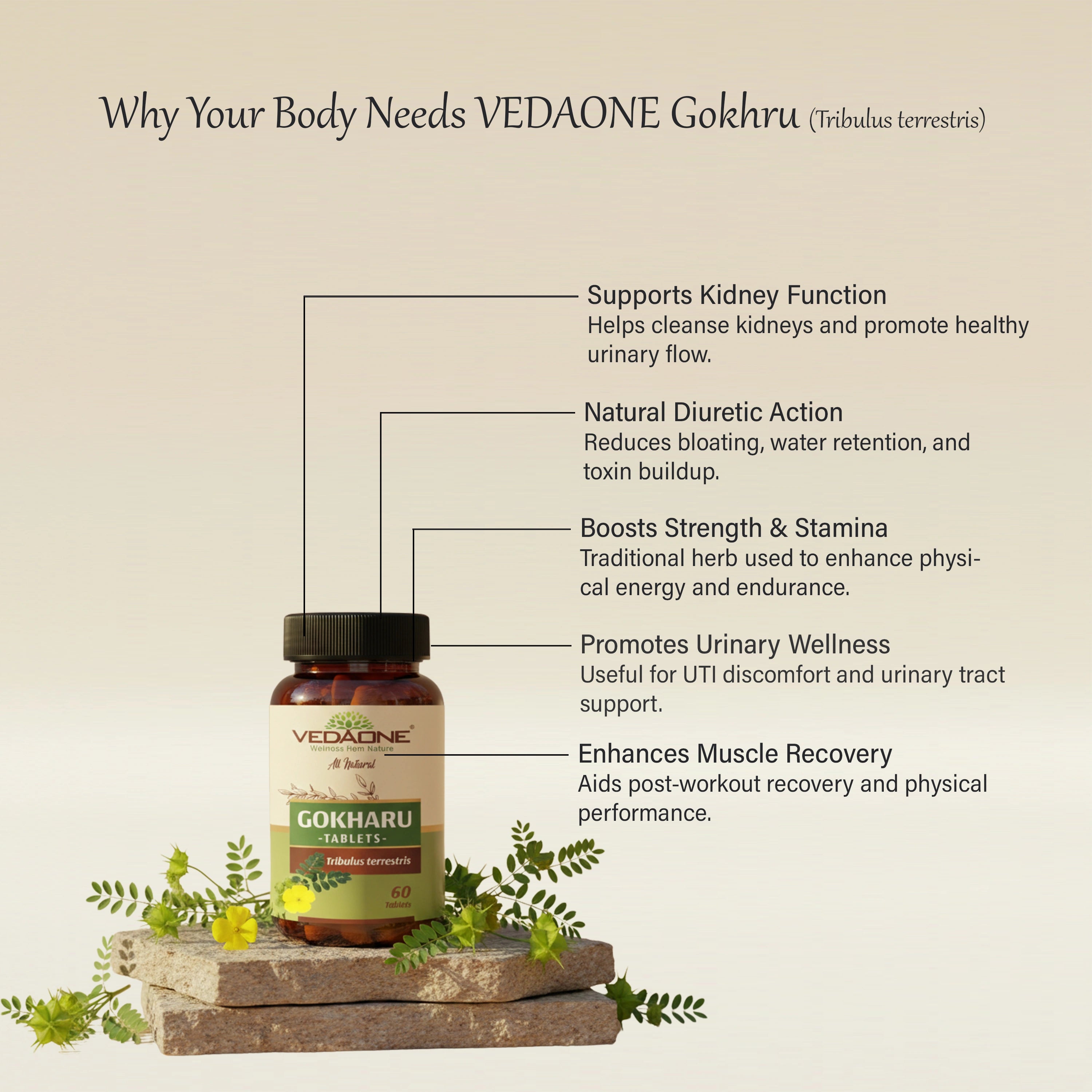 Vedaone Gokhru Tablets 750mg – Natural Support for Kidney Health, Stamina & Vitality