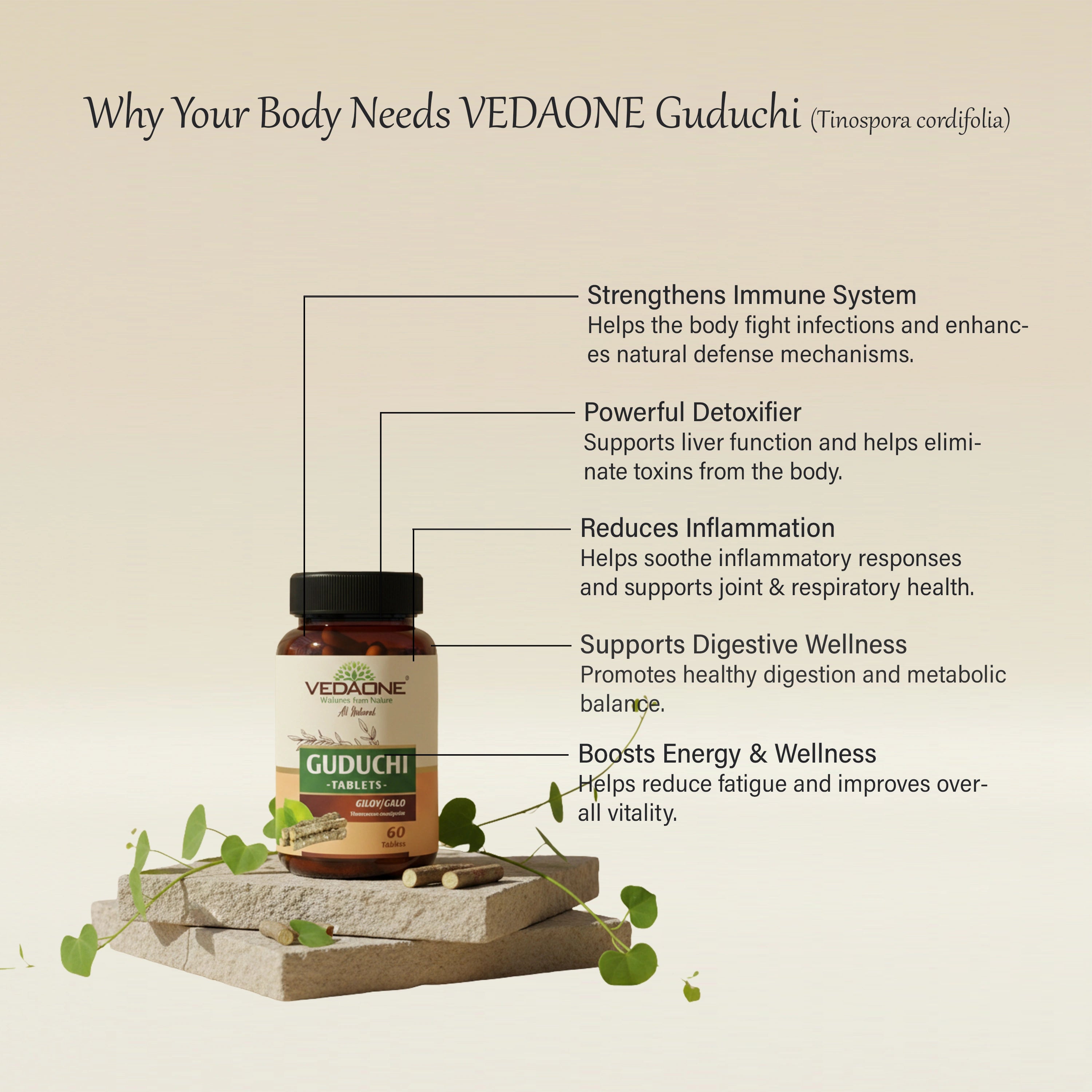 Vedaone Guduchi Tablets 750mg | Tinospora cordifolia for Immunity, Detox & Wellness