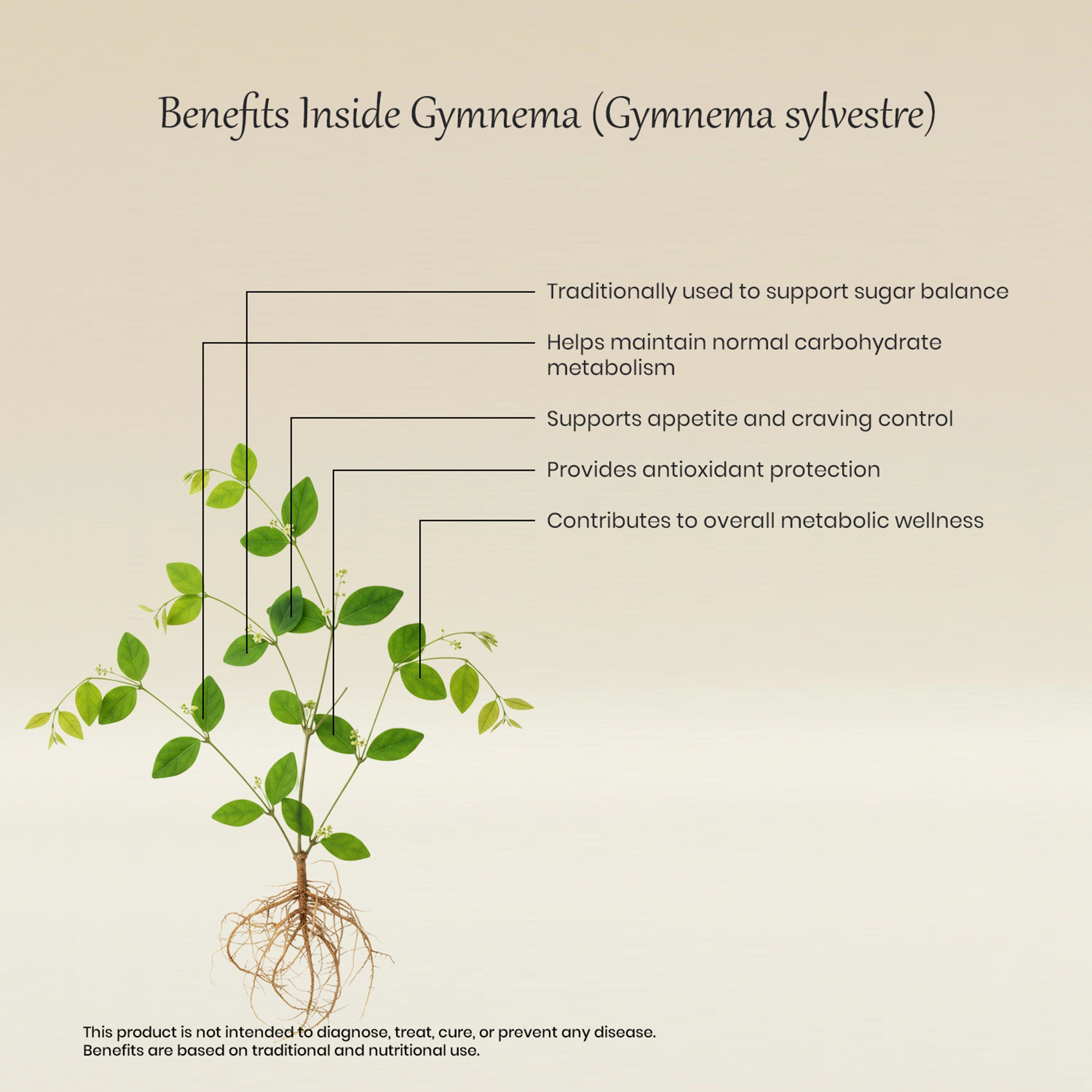 Vedaone Gymnema Capsules 60 Capsules | Gymnema sylvestre for Sugar Balance & Metabolic Wellness