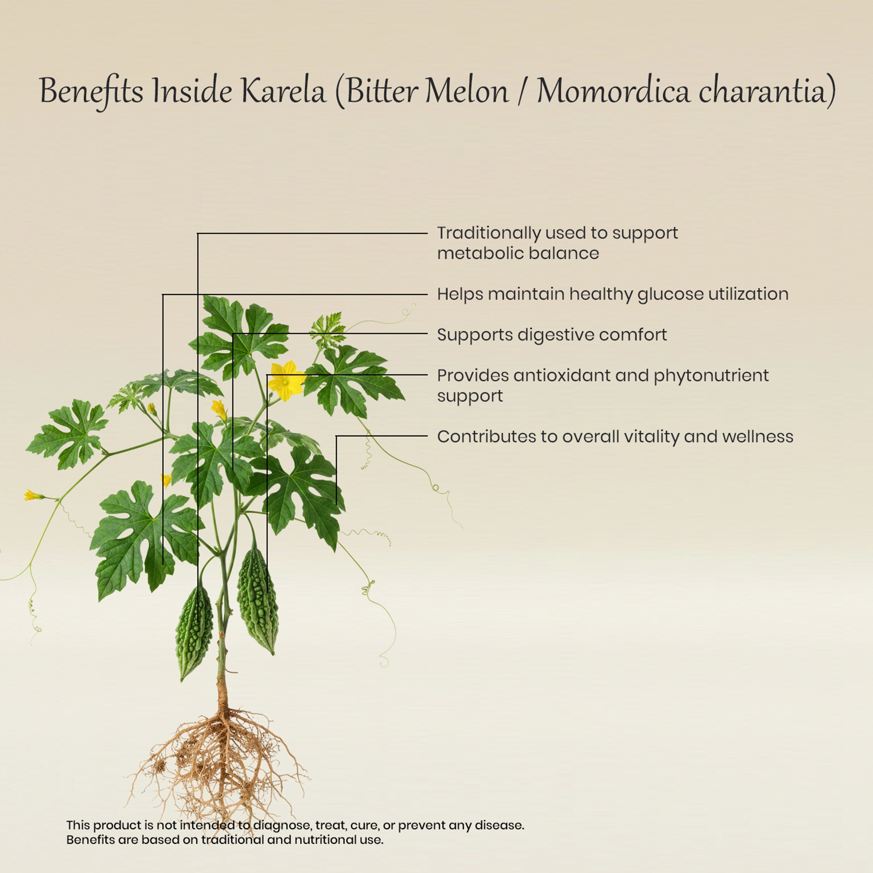 Vedaone Karela Capsules 60 Capsules | Bitter Melon (Momordica charantia) for Metabolic & Blood Sugar Support