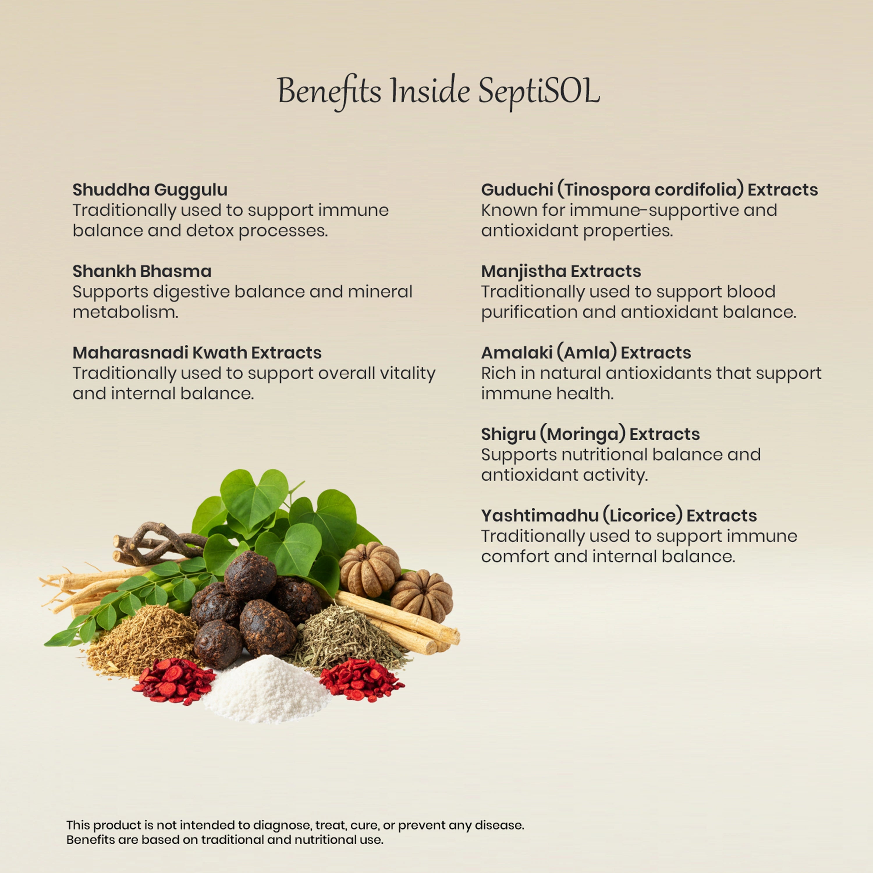 Vedaone SeptiSOL Tablets 60 Tablets | Ayurvedic Antioxidant & Immune Support Formula