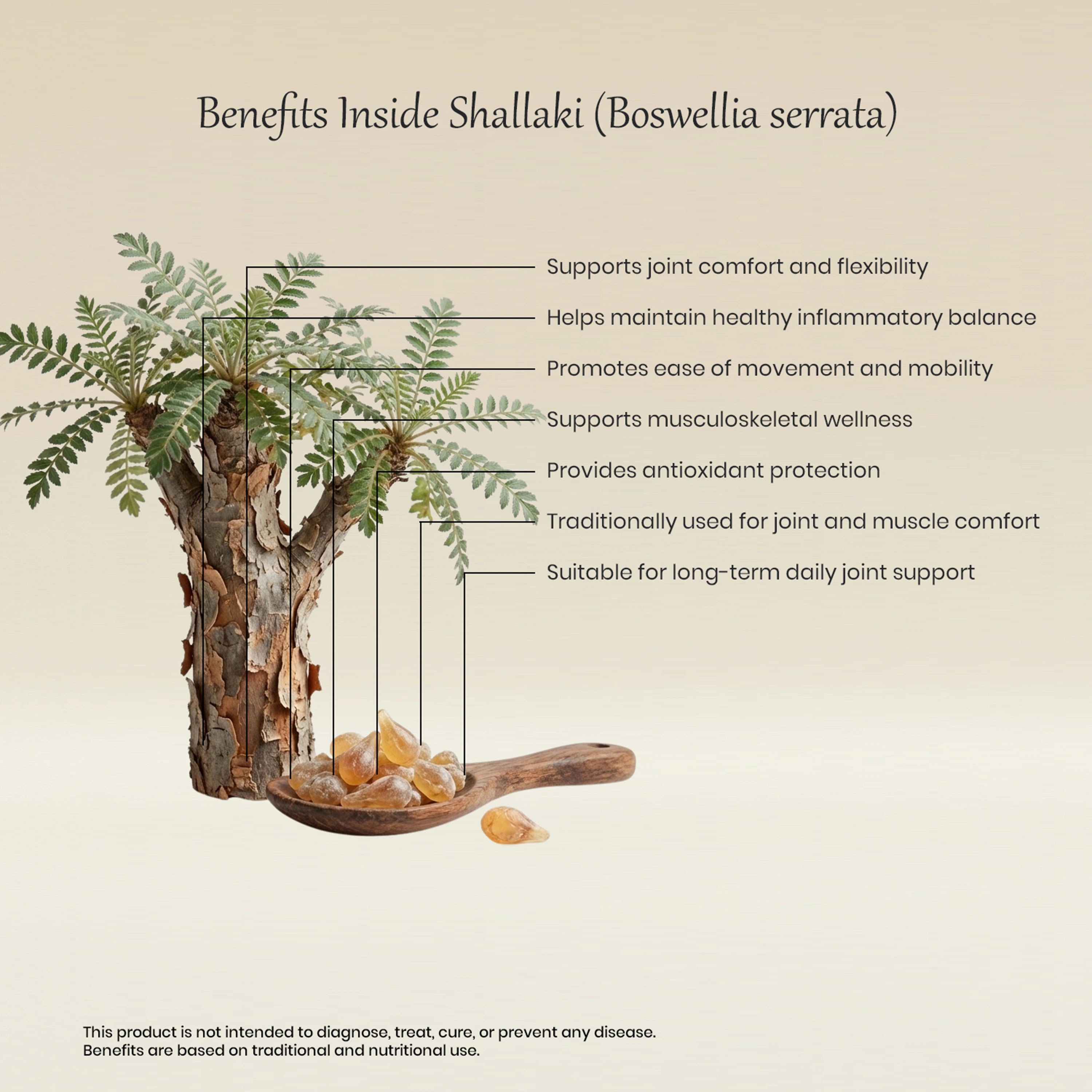 Vedaone Shallaki 60 Veg Capsules | Boswellia serrata for Joint Comfort, Mobility & Inflammation Support