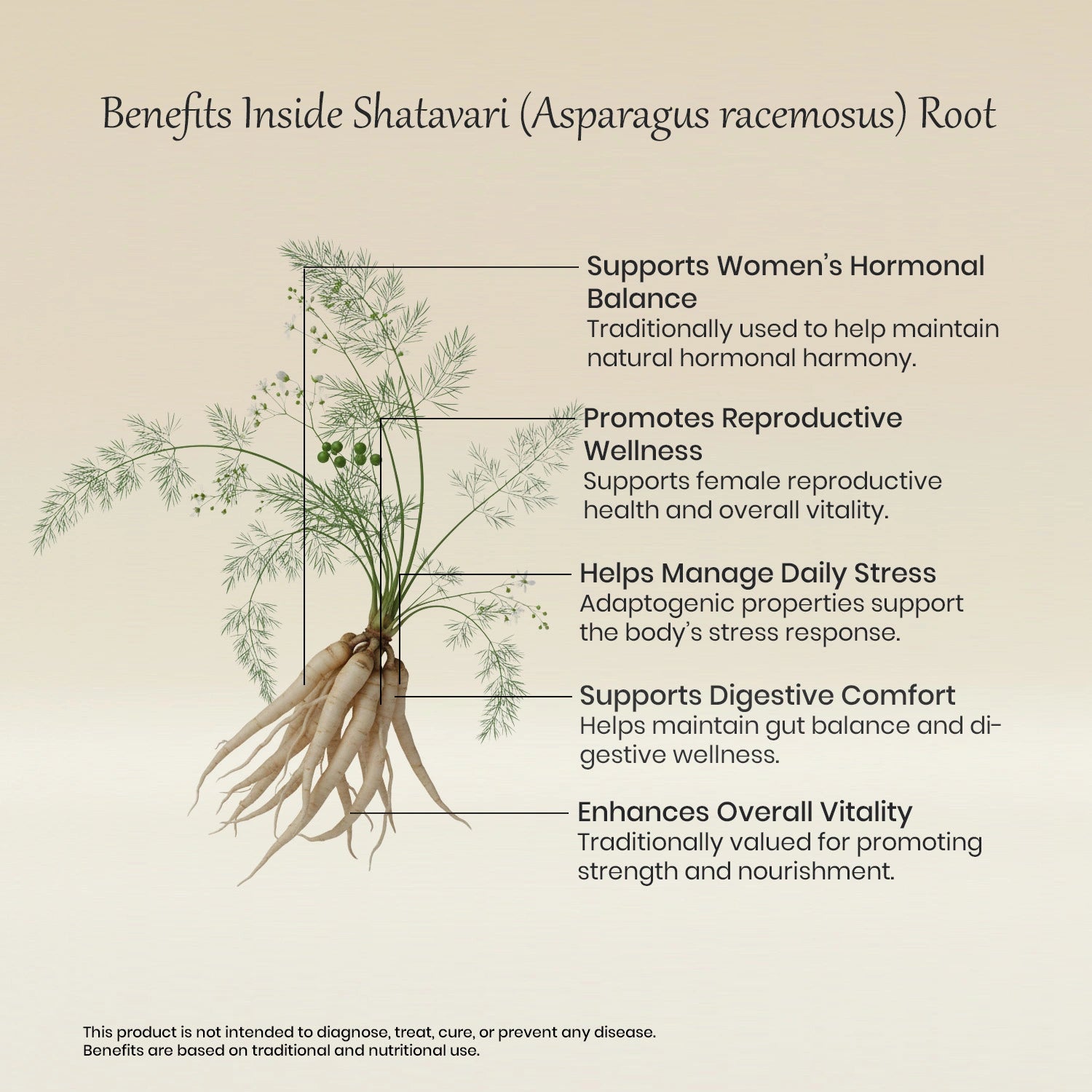 Vedaone Shatavari Powder 100 g | Pure Asparagus racemosus Root | Women’s Wellness & Vitality Support