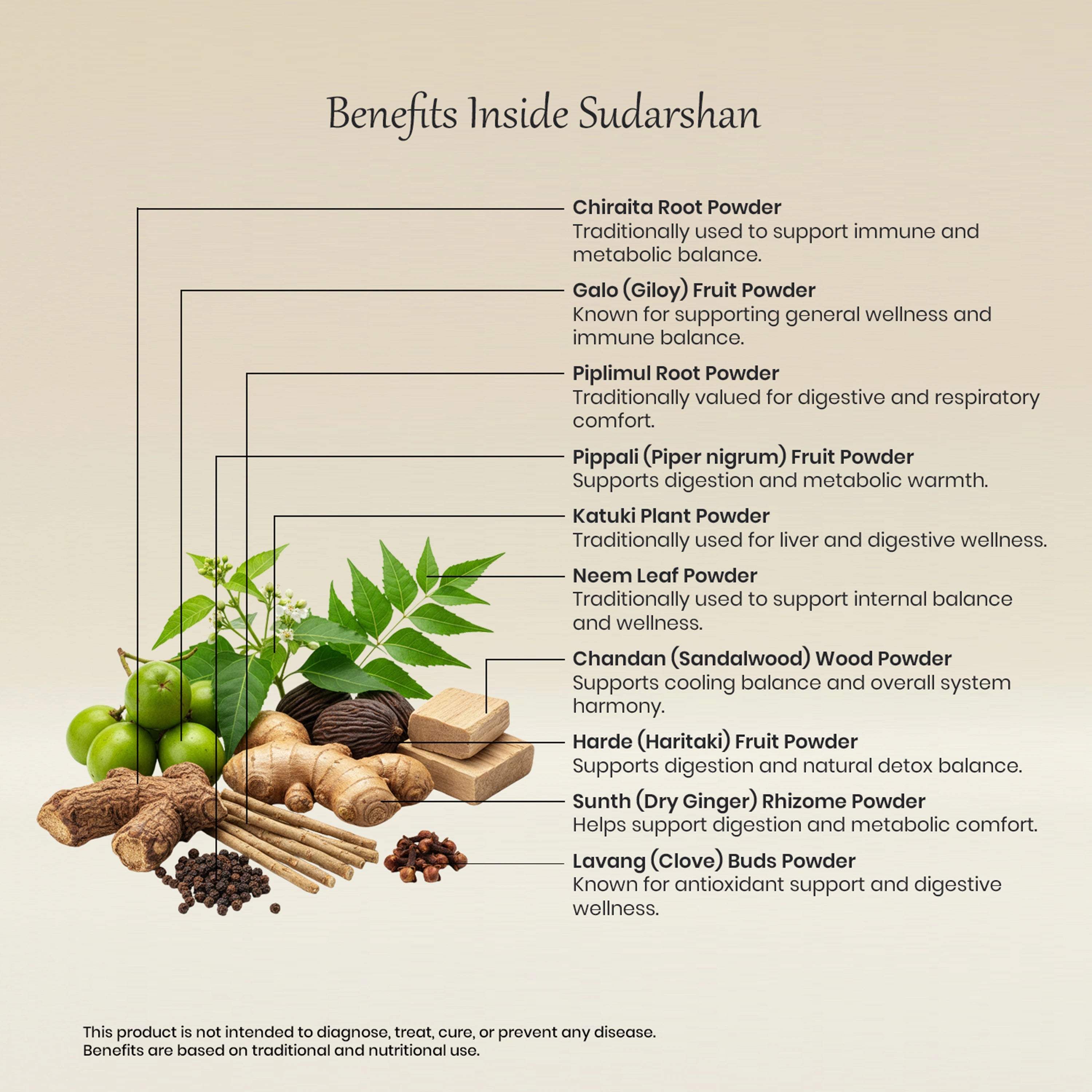 Vedaone Sudarshan Powder 100 g | Traditional Ayurvedic Herbal Blend for Immune, Digestive & Metabolic Support