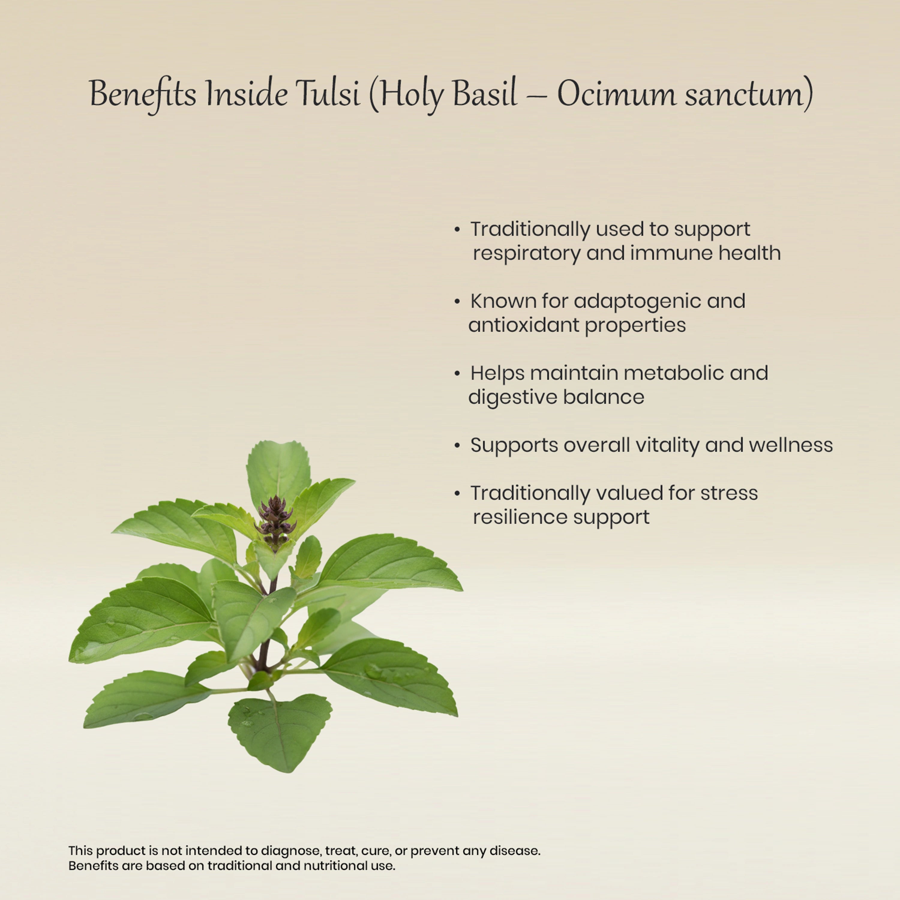 Vedaone Tulsi Powder 100 g | Holy Basil for Respiratory, Immunity & Daily Wellness Support